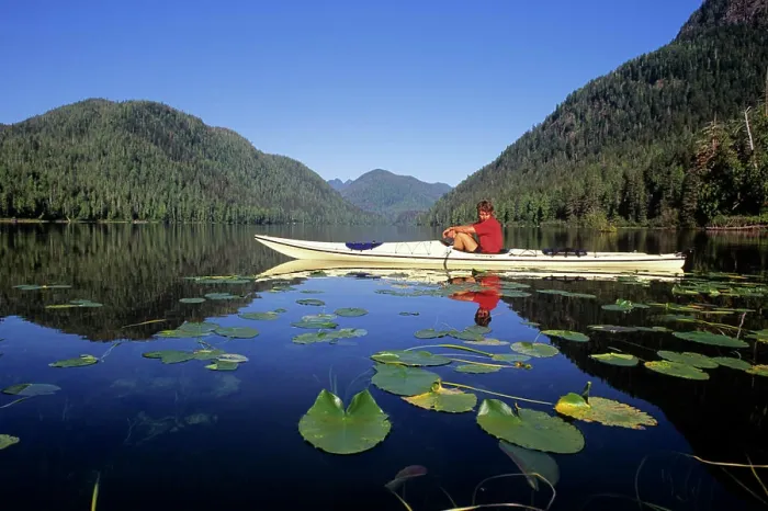Framed Print : Clayoquot Biosphere reserve, Megin Lake, kayaker and lily pads, Vancouver Island, British Columbia, Canada Framed Print : Clayoquot Biosphere reserve, Megin Lake, kayaker and lily pads, Vancouver Island, British Columbia, Canada