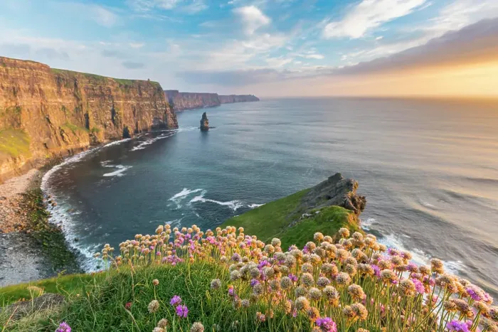 Framed Print : Cliffs of Moher at sunset, with flowers in the foreground Framed Print : Cliffs of Moher at sunset, with flowers in the foreground