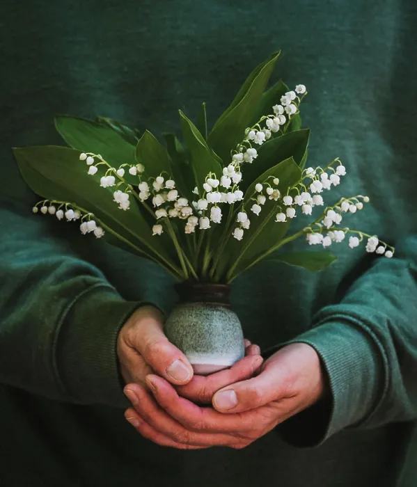 Framed Print : Close up of hands holding a small vase of lily of the valley flowers Framed Print : Close up of hands holding a small vase of lily of the valley flowers
