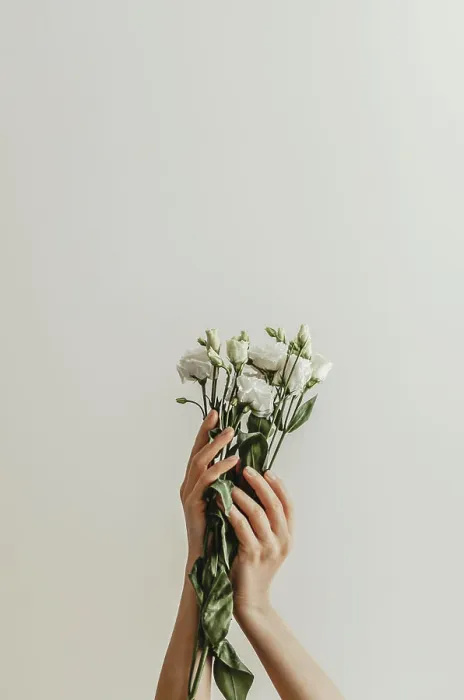 Framed Print : Close-up beautiful sophisticated female hands with white flowers Framed Print : Close-up beautiful sophisticated female hands with white flowers