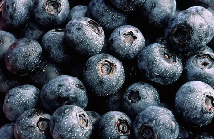 Framed Print : Close-up of Blueberries