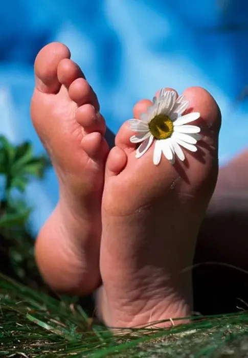 Framed Print : Close-up of a Daisy flower between toes of a woman Framed Print : Close-up of a Daisy flower between toes of a woman