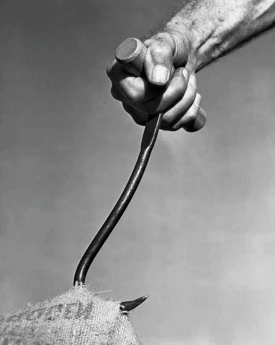 Framed Print : Close-up of a man's hand pulling a sack by a hook Framed Print : Close-up of a man's hand pulling a sack by a hook