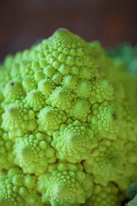 Framed Print : Close-up of Romanesco cauliflower Framed Print : Close-up of Romanesco cauliflower