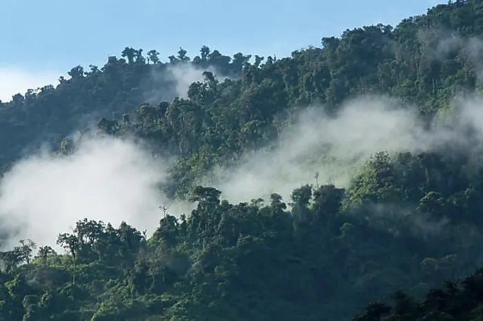 Framed Print : Cloud Forest, Cotacachi Cayapas Ecological Reserve, Imbabura Province, Ecuador, South America