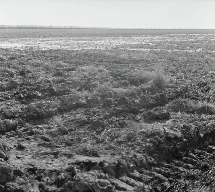 Framed Print : Collection Dutch Heidematschappij. Landscapes. undated Framed Print : Collection Dutch Heidematschappij. Landscapes. undated