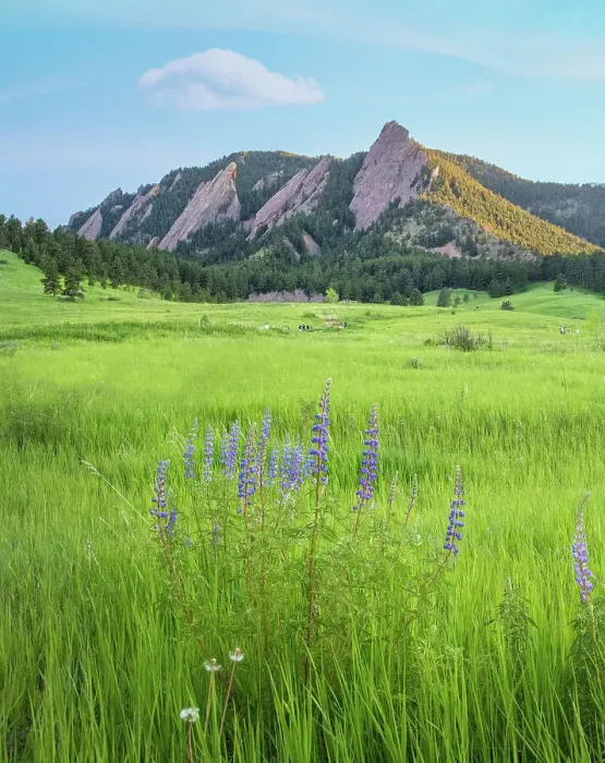 Framed Print : Colorado Boulder - Colorado Low Angle View Outdoors Framed Print : Colorado Boulder - Colorado Low Angle View Outdoors