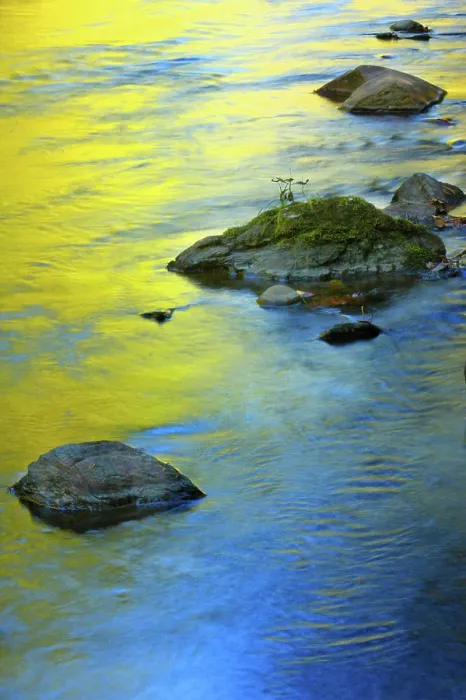 Framed Print : Colors Reflected in Water Framed Print : Colors Reflected in Water