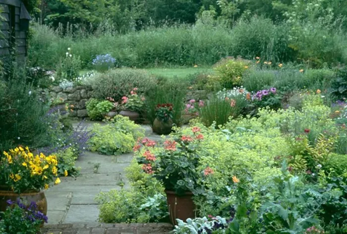Framed Print : Colourful perennials in country garden in summer Framed Print : Colourful perennials in country garden in summer