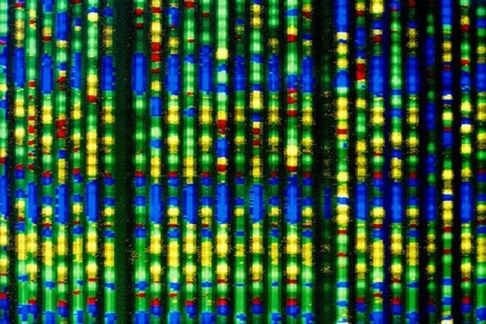 Framed Print : Computer Display of DNA Sequence