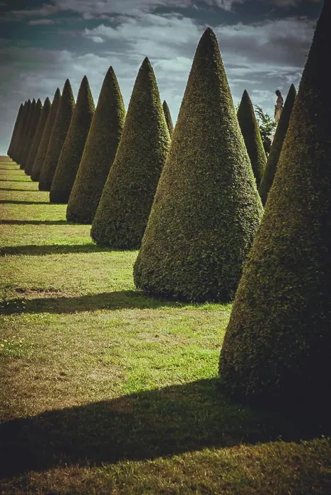 Framed Print : Conical hedge lines and lawn, Chateau de Versailles, France Framed Print : Conical hedge lines and lawn, Chateau de Versailles, France