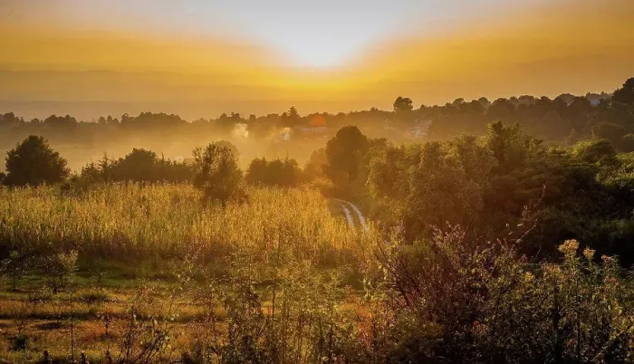 Framed Print : Country sunset foggy view dusk at summer Framed Print : Country sunset foggy view dusk at summer