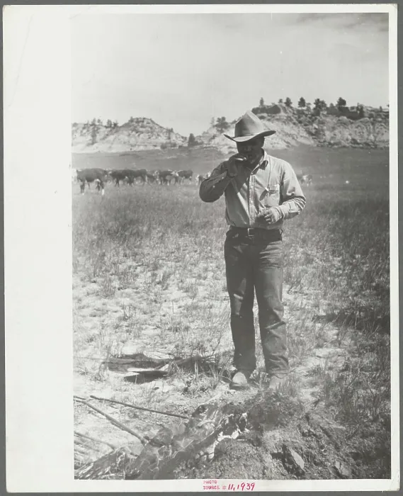 Framed Print : Cowboy eating 'Rocky Mountain oysters Framed Print : Cowboy eating 'Rocky Mountain oysters