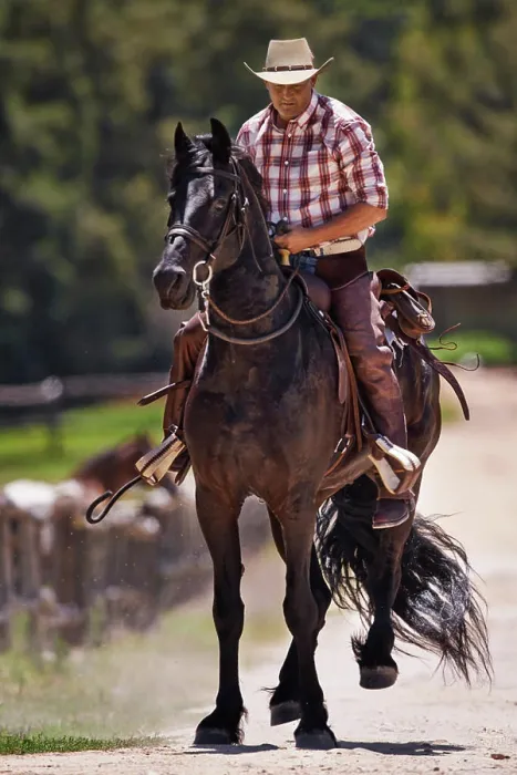 Framed Print : Cowboy, horse and riding on ranch Framed Print : Cowboy, horse and riding on ranch