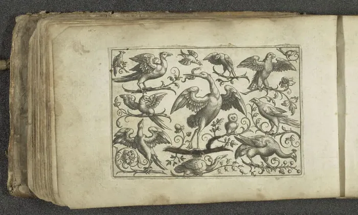 Framed Print : Crane and twelve other birds, 1596 - 1622 print A crane with spread wings on a branch Framed Print : Crane and twelve other birds, 1596 - 1622 print A crane with spread wings on a branch