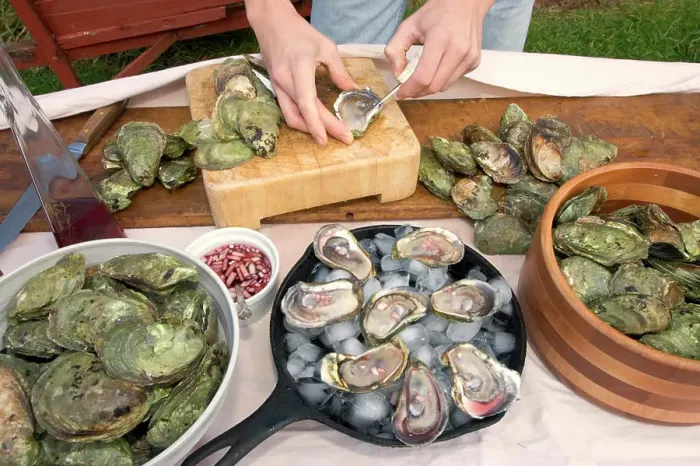 Framed Print : Cultured oysters, shellfish, Food Framed Print : Cultured oysters, shellfish, Food