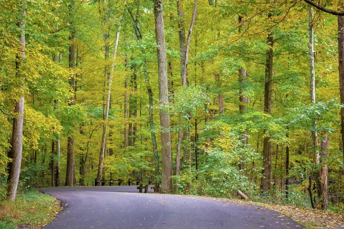 Framed Print : Curvy Road in Clifty Creek Park, Southern Indiana Framed Print : Curvy Road in Clifty Creek Park, Southern Indiana