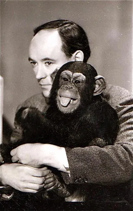 Framed Print : Desmond Morris with the chimpanzee Congo on the Zootime TV programme from the London Zoo, 1957 Framed Print : Desmond Morris with the chimpanzee Congo on the Zootime TV programme from the London Zoo, 1957