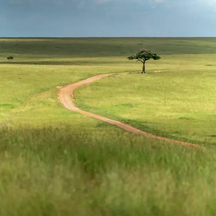 Framed Print : Dirt road winding through rolling hills of the Maasai Mara in Kenya Framed Print : Dirt road winding through rolling hills of the Maasai Mara in Kenya