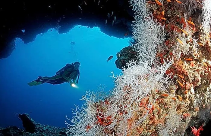 Framed Print : Diver under coral overhang, Maldives, Indian Ocean, Ari Atoll, Asia