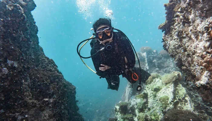 Framed Print : diver exploring the tropical waters around Koh Tao in Thailand Framed Print : diver exploring the tropical waters around Koh Tao in Thailand