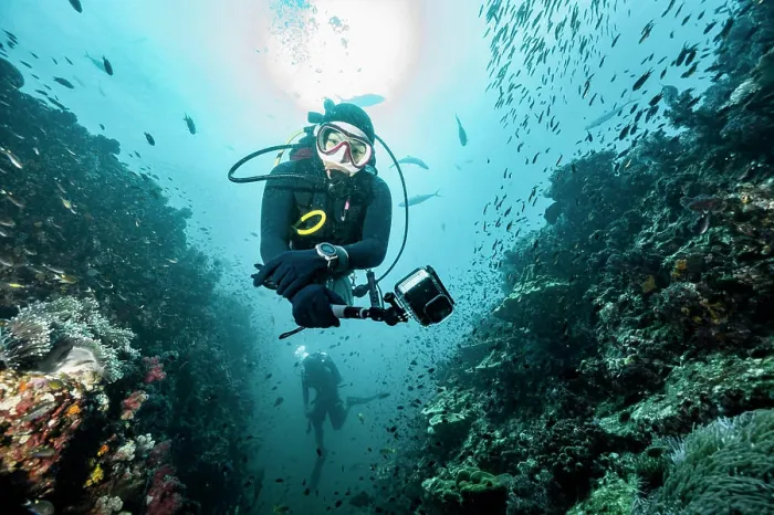Framed Print : diver exploring the tropical waters around the Similan Islands Framed Print : diver exploring the tropical waters around the Similan Islands