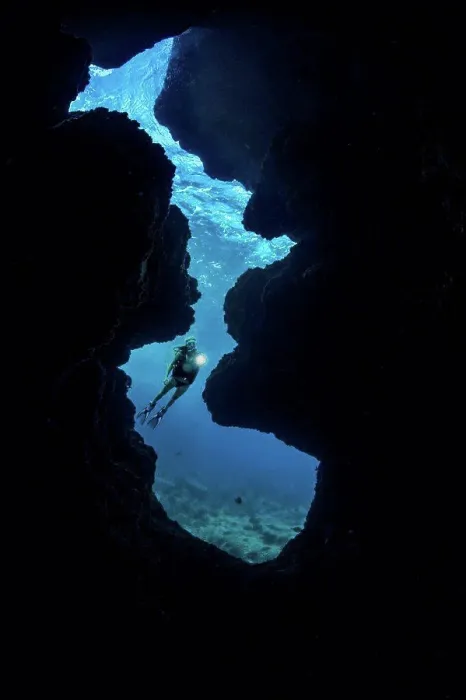 Framed Print : A diver (MR) shines her light into a crevice opening off Kaiwe Point on the Kona coast; Island of Hawaii Framed Print : A diver (MR) shines her light into a crevice opening off Kaiwe Point on the Kona coast; Island of Hawaii