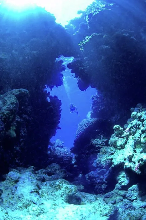 Framed Print : Diver Samadaï Cave Mersa Alam Red Sea Egypt Framed Print : Diver Samadaï Cave Mersa Alam Red Sea Egypt