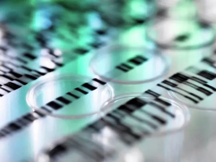 Framed Print : DNA autoradiogram gel illustrating genetic results laying on a row of test tubes in the laboratory