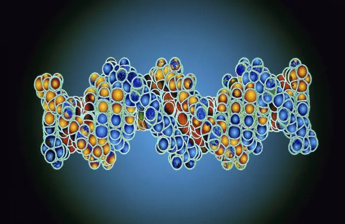 Framed Print : DNA Model Framed Print : DNA Model