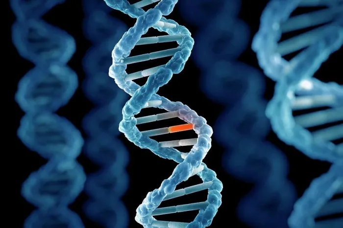 Framed Print : DNA Structure Framed Print : DNA Structure