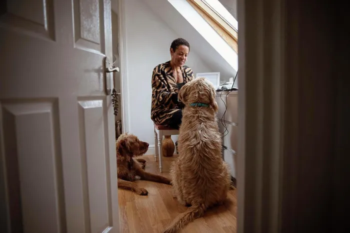 Framed Print : Dogs watching woman working from home in home office doorway Framed Print : Dogs watching woman working from home in home office doorway