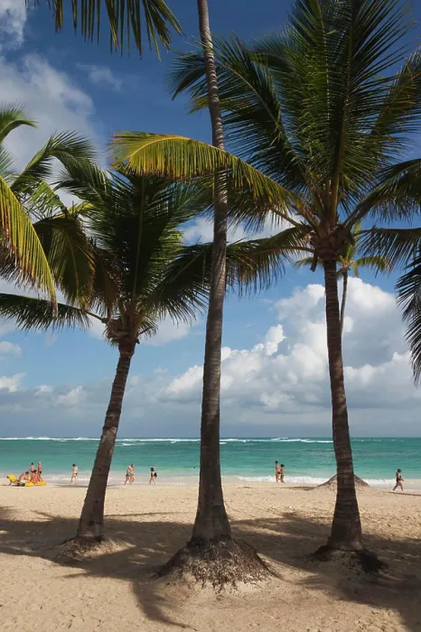 Framed Print : Dominican Republic, Punta Cana Region, Bavaro, Bavaro beach Framed Print : Dominican Republic, Punta Cana Region, Bavaro, Bavaro beach