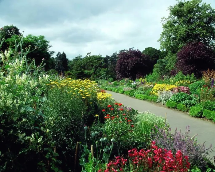 Framed Print : Double Herbaceous Borders, National Botanic Gardens, Dublin, Ireland Framed Print : Double Herbaceous Borders, National Botanic Gardens, Dublin, Ireland