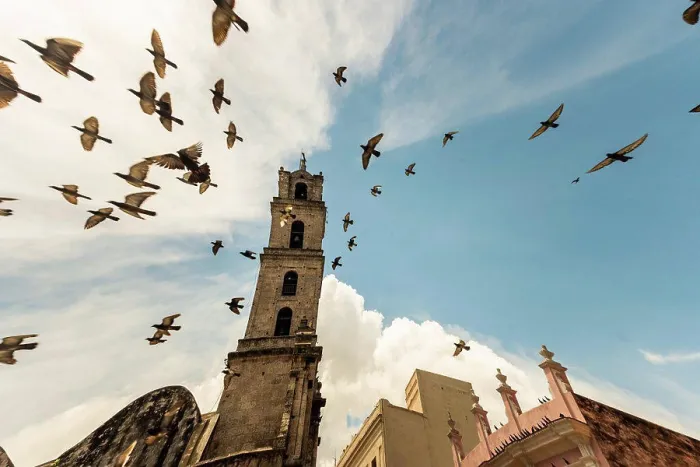 Framed Print : Doves flying in front of the church of Havana