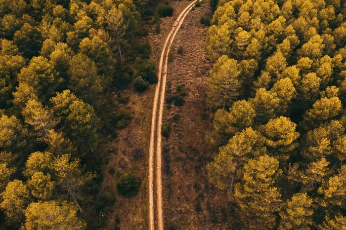 Framed Print : Drone aerial top view of scenic landscape of rural road motorway through forest in countryside Framed Print : Drone aerial top view of scenic landscape of rural road motorway through forest in countryside