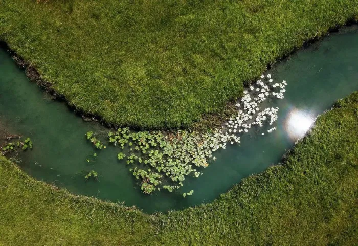 Framed Print : Drone view of water lilies growing in¶ÿZeller¶ÿAche river Framed Print : Drone view of water lilies growing in¶ÿZeller¶ÿAche river
