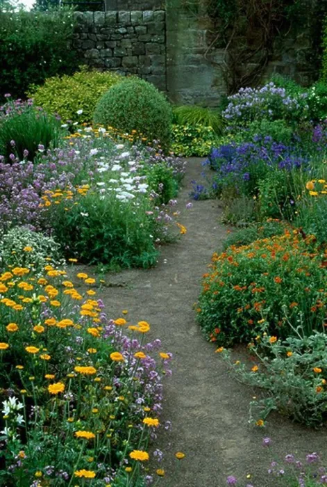 Framed Print : Earth path though colourful herbaceous borders in walled country garden in summer Framed Print : Earth path though colourful herbaceous borders in walled country garden in summer