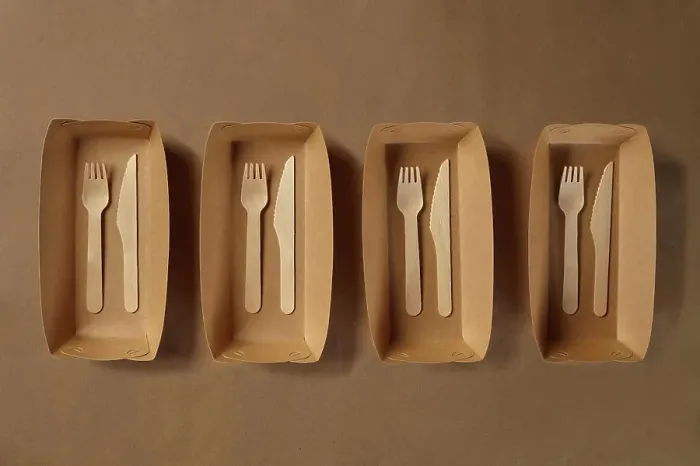 Framed Print : Eco friendly disposable tableware