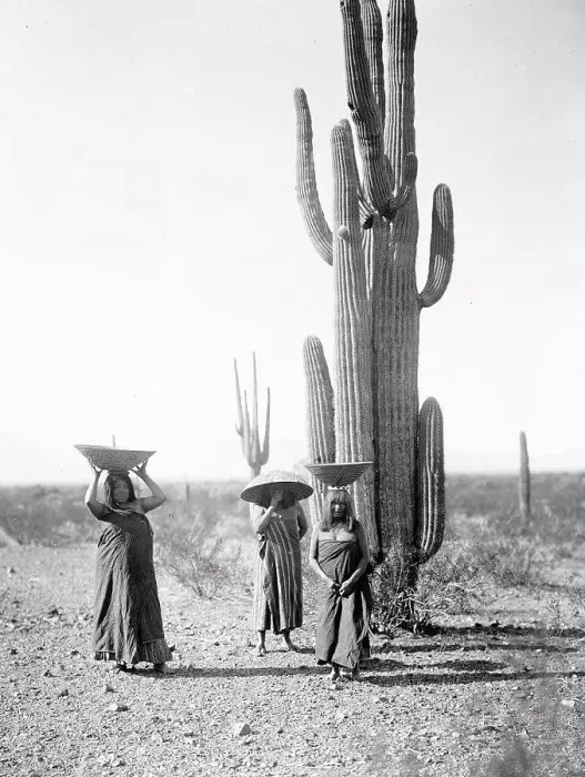 Framed Print : Edward S. Curits Native American Indians - Three Maricopa Indian women with baskets on their heads Framed Print : Edward S. Curits Native American Indians - Three Maricopa Indian women with baskets on their heads