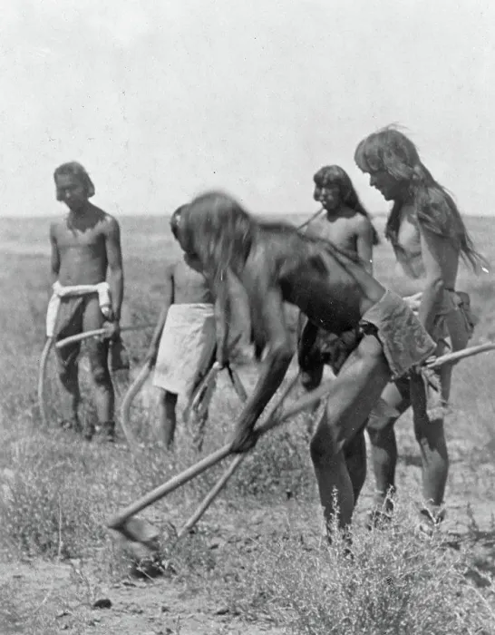 Framed Print : Edward S. Curtis Native American Indians - Group of Hopi Indians using hoes to dig out snakes ca. 1907