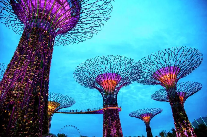 Framed Print : Electric supertrees lit up at night, Singapore, Republic of Singapore Framed Print : Electric supertrees lit up at night, Singapore, Republic of Singapore