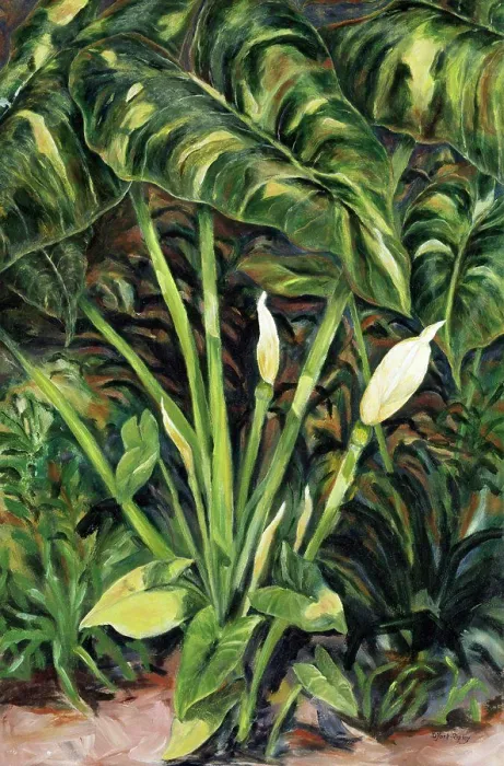 Framed Print : Elephant Ears by Diantha York-Ripley, 1997, 20th century, collection of artist Framed Print : Elephant Ears by Diantha York-Ripley, 1997, 20th century, collection of artist