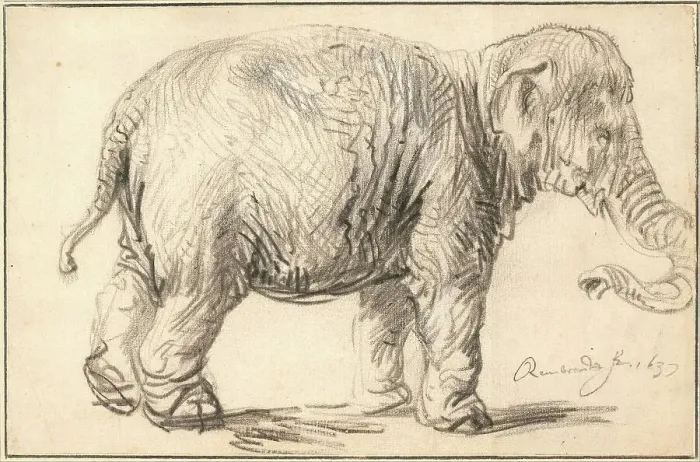 Framed Print : An Elephant by Rembrandt van Rhijn (1606-1669) / Albertina Framed Print : An Elephant by Rembrandt van Rhijn (1606-1669) / Albertina