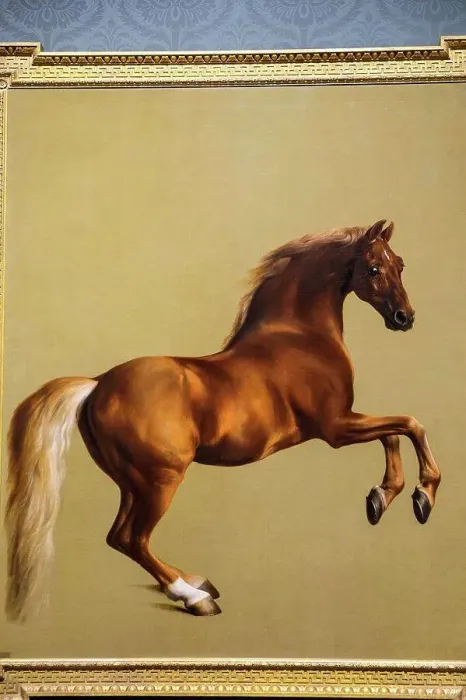 Framed Print : England, London, Trafalgar Square, The National Gallery, Painting of The Racehorse Whistlejacket by George Stubbs Framed Print : England, London, Trafalgar Square, The National Gallery, Painting of The Racehorse Whistlejacket by George Stubbs