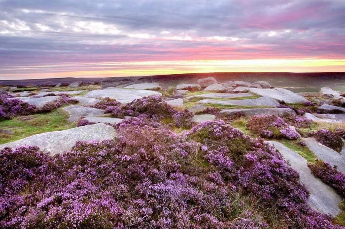 Framed Print : England, South Yorkshire, Peak District Framed Print : England, South Yorkshire, Peak District