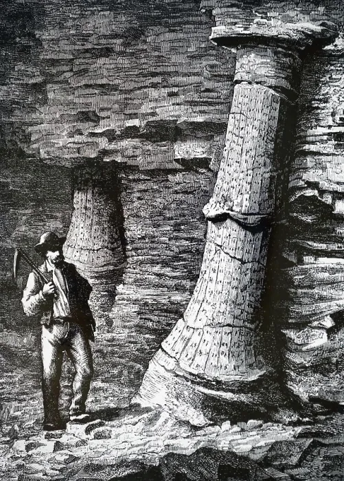 Framed Print : An engraving depicting a fossil tree trunk in a coal mine at Treuil near St Etienne. Dated 19th century