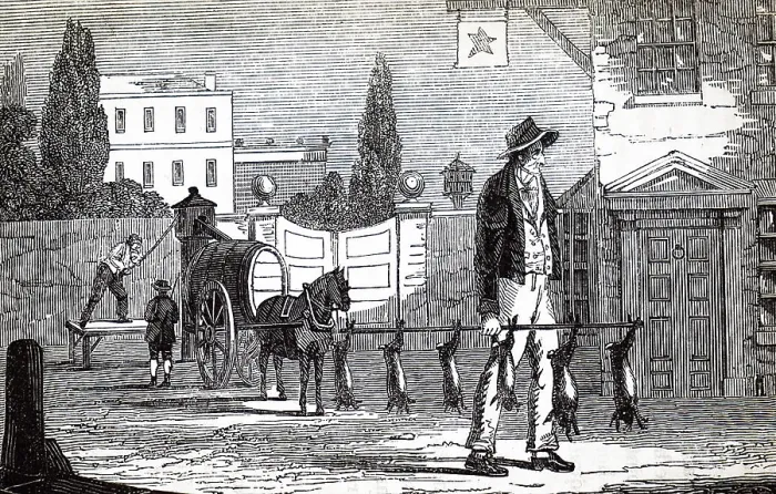 Framed Print : Engraving depicting a man carrying hares and rabbits on a pole Framed Print : Engraving depicting a man carrying hares and rabbits on a pole