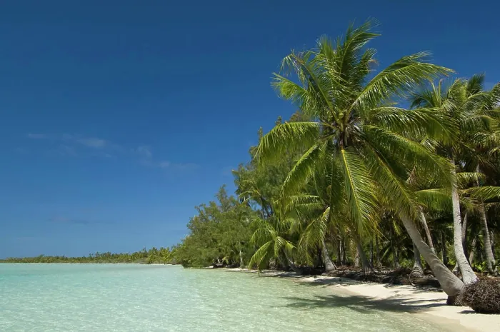 Framed Print : Fakarawa, Tuamotu Archipelago, French Polynesia Framed Print : Fakarawa, Tuamotu Archipelago, French Polynesia