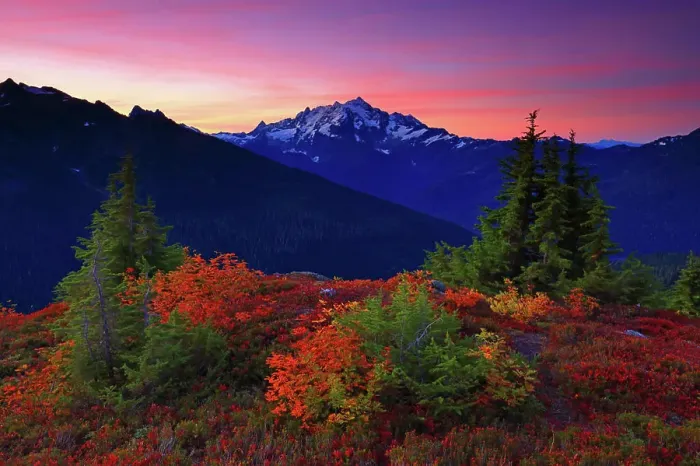 Framed Print : Fall Sunrise with Mt Shuksan from Yellow Aster Butte in the Mt Baker Wilderness in Washington Framed Print : Fall Sunrise with Mt Shuksan from Yellow Aster Butte in the Mt Baker Wilderness in Washington